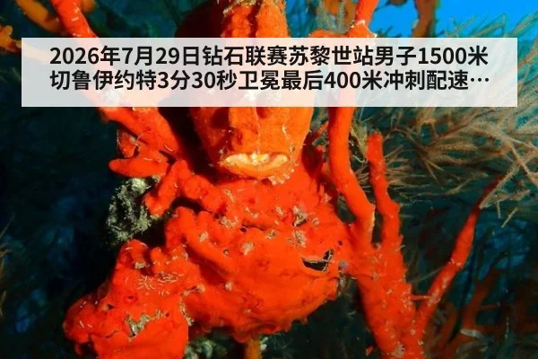 2026年7月29日钻石联赛苏黎世站男子1500米切鲁伊约特3分30秒卫冕最后400米冲刺配速分析