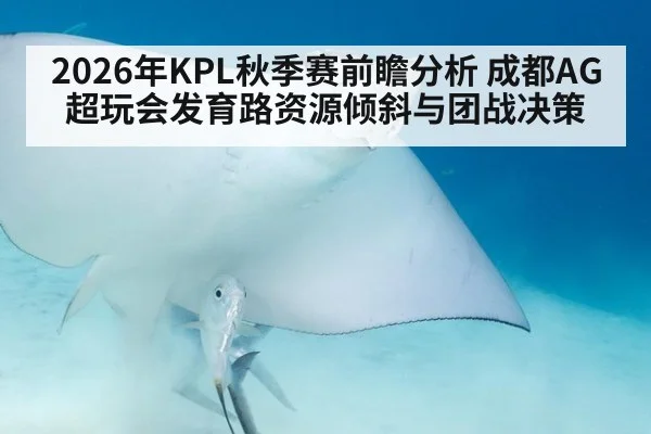 2026年KPL秋季赛前瞻分析 成都AG超玩会发育路资源倾斜与团战决策