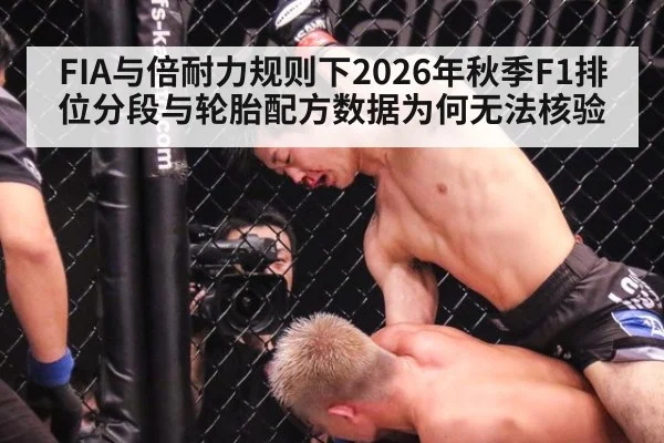 FIA与倍耐力规则下2026年秋季F1排位分段与轮胎配方数据为何无法核验